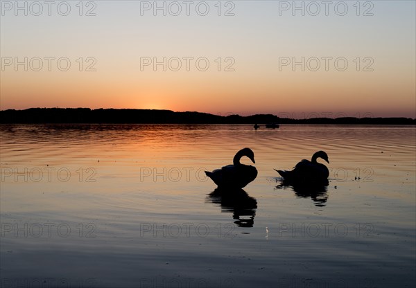 Sunset at the Chiemsee