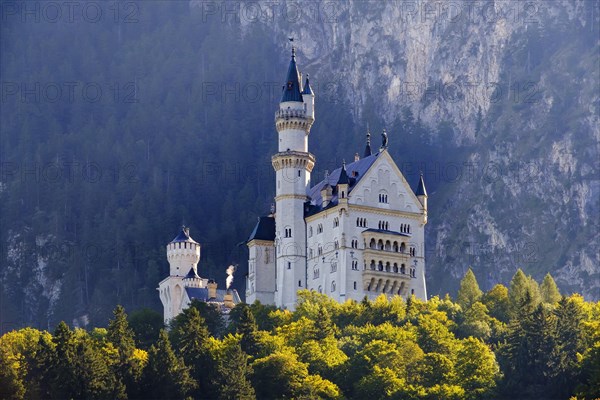 Castle Neuschwanstein