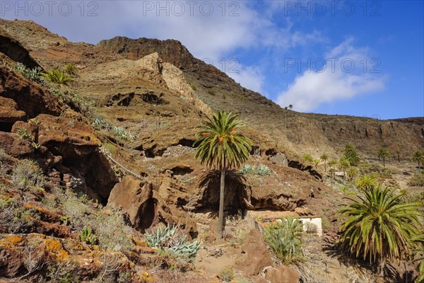 Ancient cave dwelling on Calvario Mountain