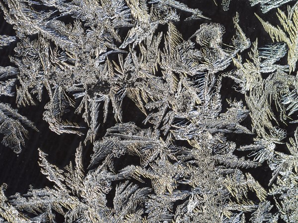 Ice crystals at a window