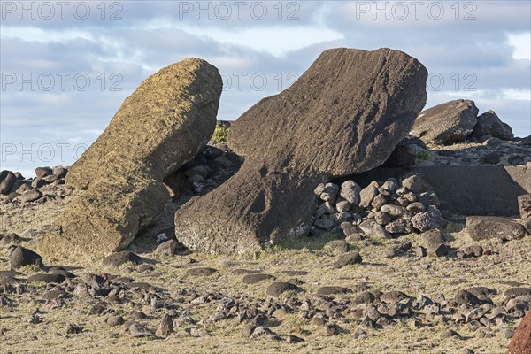 Moai bodies