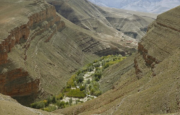 Oasis in the Dades Gorge