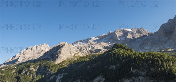 View of the forest and mountains