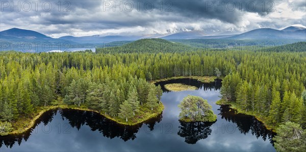 Overview of Loch Morlich