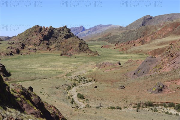 Grazing horses in Valle Encantado Valley