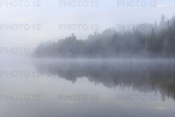 Morning mist