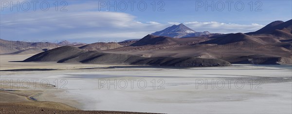 Laguna Santa Rosa with the volcano Nevado Ojos del Salado