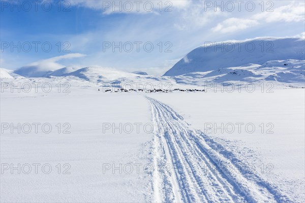 Traces of snowmobiles in the snow