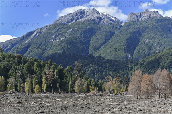 Destroyed forest by a landslide in Villa Santa Lucia