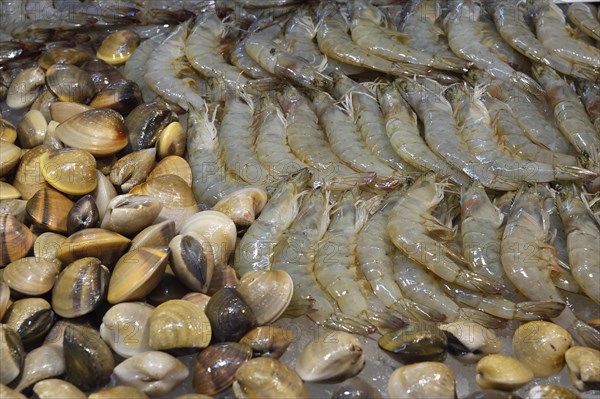 Various Seafood
