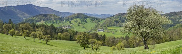 Spring Landscape with mountains Hocheck