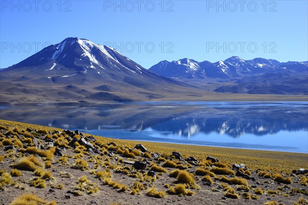 Laguna Miscanti on the Altiplano