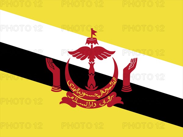 Official national flag of Brunei Darussalam