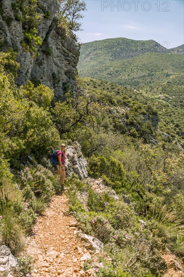 Female hiker on a hiking trail