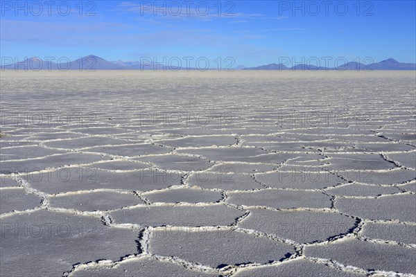 Honeycomb structure on the salt lake