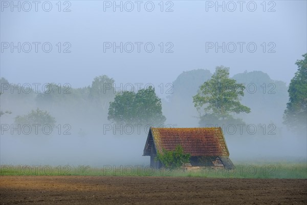 Barn in the morning fog
