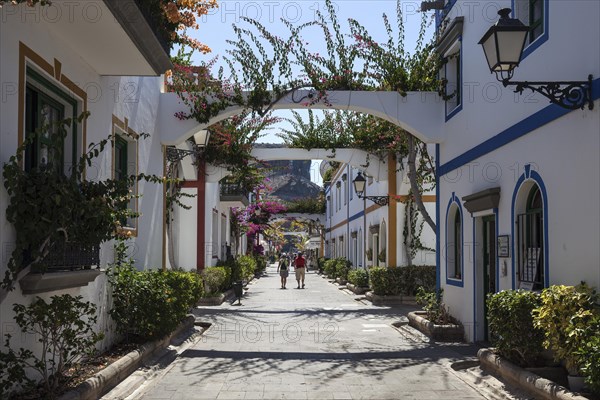 Typical alley decorated with flowers