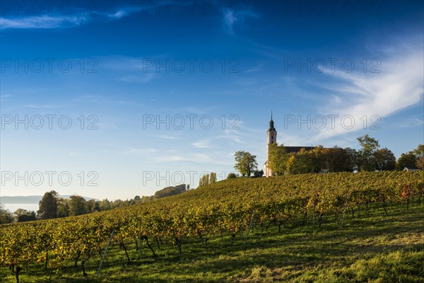 Pilgrimage church Birnau with vineyards in autumn