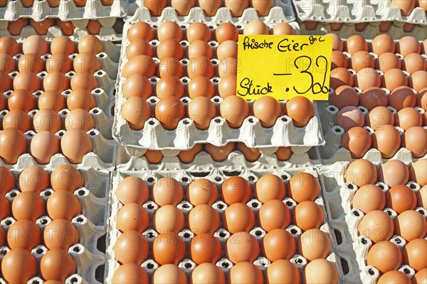 Fresh brown eggs in egg cartons with price tag at a market stall