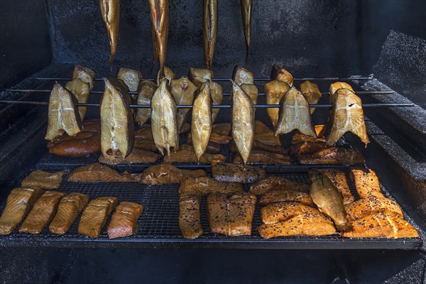 Smoked fish fillets in the smoking cabinet at the river Dahme