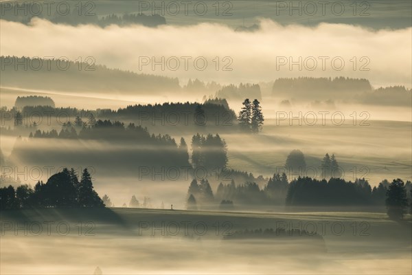 Hilly landscape with morning fog