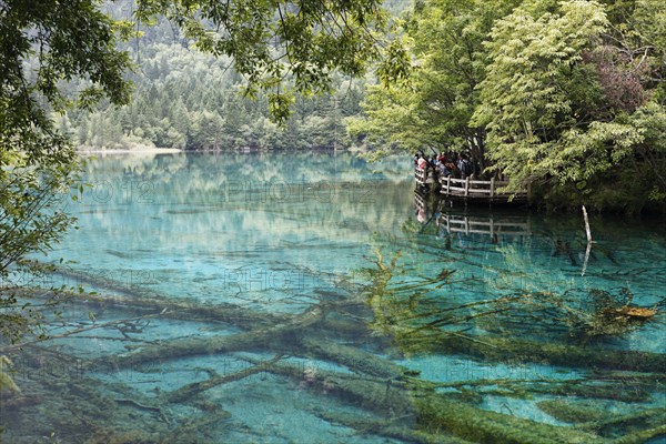 Five-colour lake