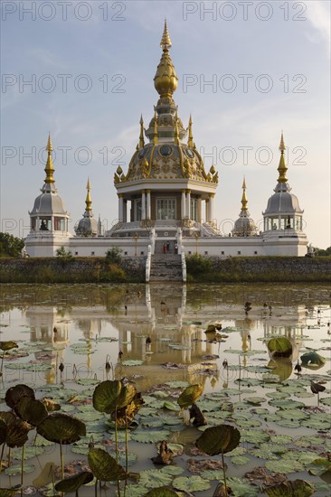 Pond with Lotus (Nelumbo) in front of Maha Rattana Chedi of Wat Thung Setthi