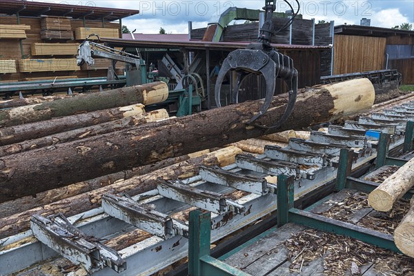 Crane lifts round wood on the surveying conveyor