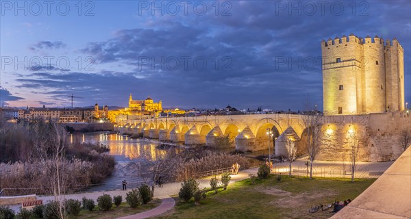 Illuminated fortress Torre de la Calahorra with Puente Romano