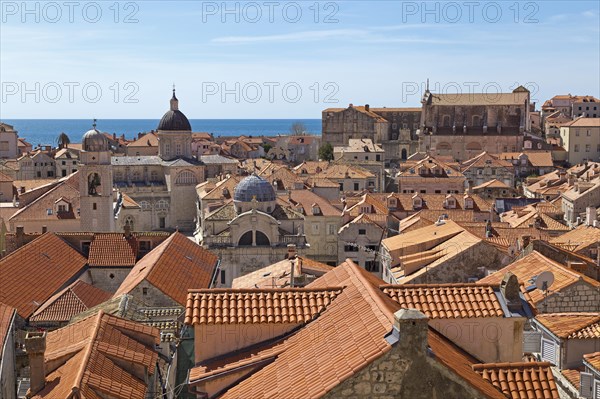 View from the city wall onto roofs of the old town with cathedral
