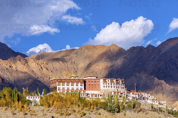 Phyang Monastery