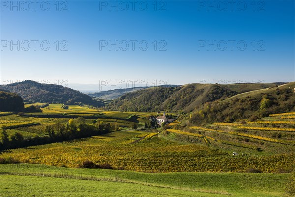 Village in the vineyards in autumn