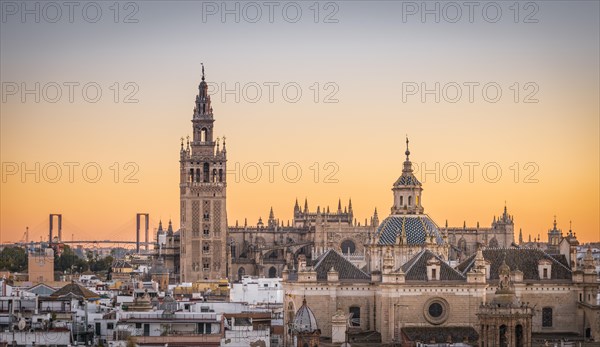 View of La Giralda and Iglesia del Salvador at sunset