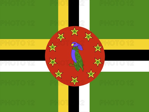 Official national flag of Dominica
