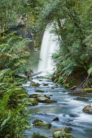 Hopetoun Falls in the rainforest