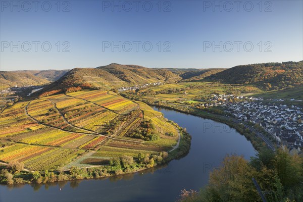 Moselschleife and vineyards in autumn