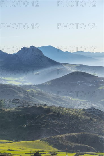 Hilly green mountain landscape