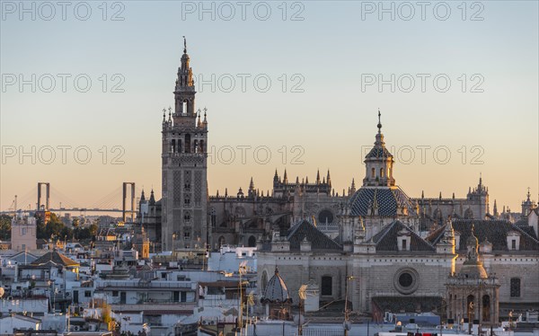 View of La Giralda and Iglesia del Salvador