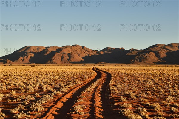 Sandtrack through desert landscape at evening light