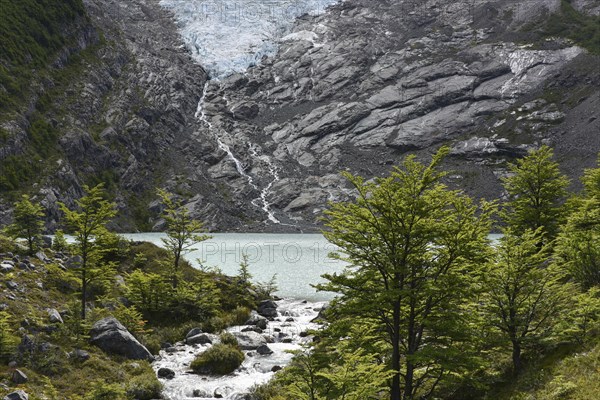 Melting glacier with lake and forest