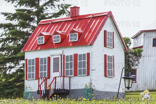 White with red trim miniature reproduction of an old Canadiana cottage style home facade in a field of yellow dandelion flowers in late spring