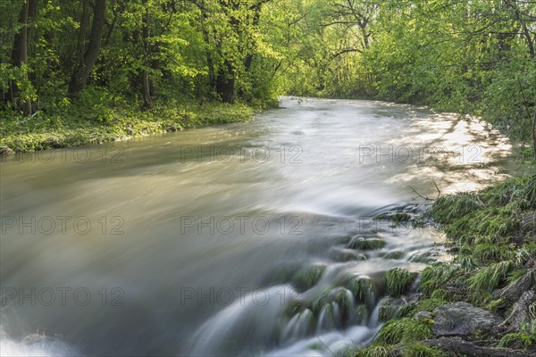 River Triesting