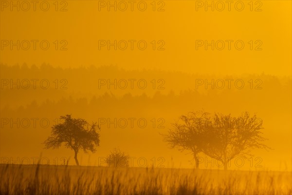 Sunrise in Jachenhausen near Riedenburg