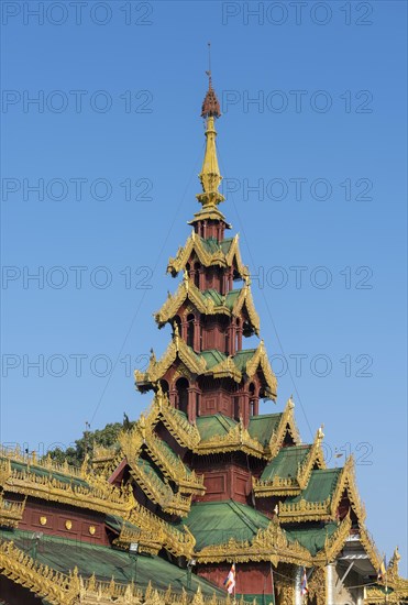 Ornate roof