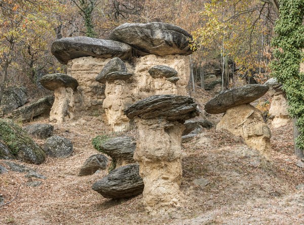 Stone Mushrooms