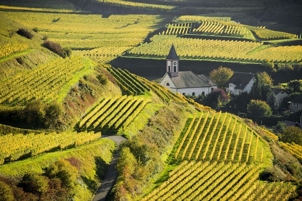 Village in the vineyards in autumn