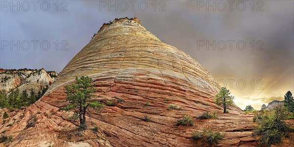 Table Mountain Checkerboard Mesa