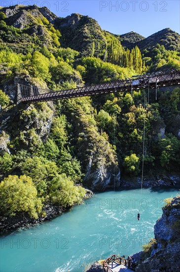 AJ Hackett Bungy jumping on the Kawarau bridge over the Kawarau river near Queenstown