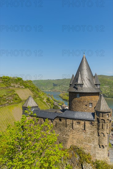 Youth Hostel Stahleck Castle