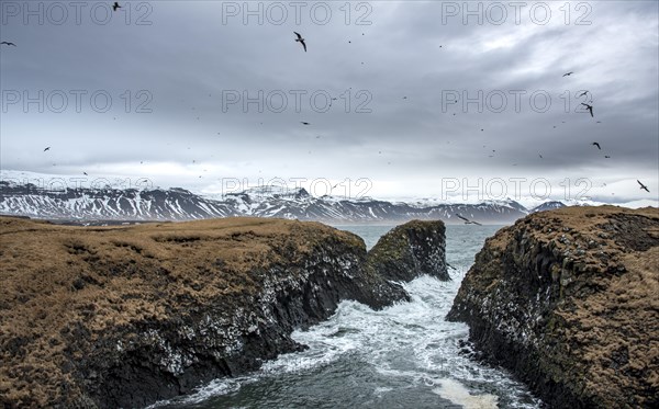 Heavy sea at the coast in a small bay